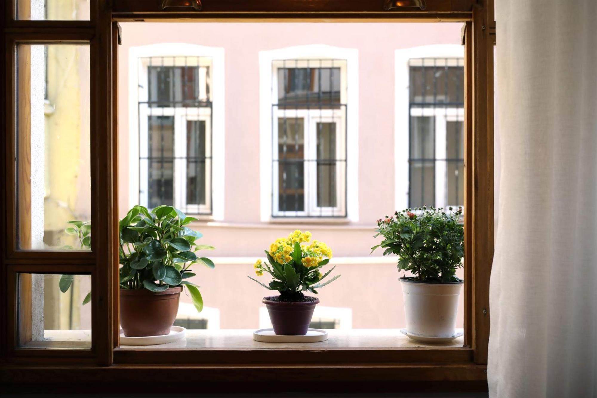 Narpera Taksim Boutique Hotel İstanbul Dış mekan fotoğraf